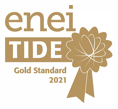 Steer enei Gold Standard Award 2021
