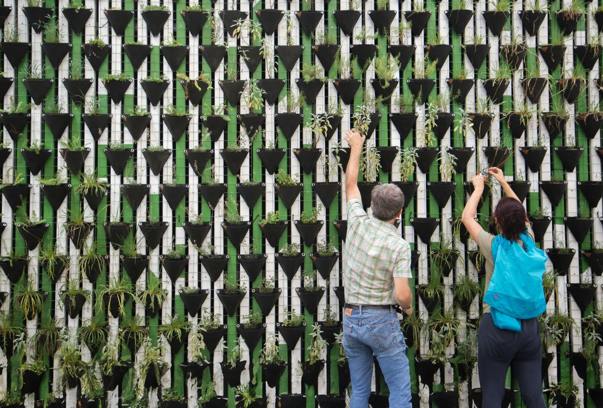 People planting a green wall